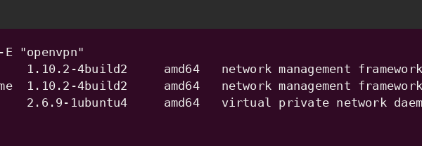 Terminal with the installed OpenVPN packages